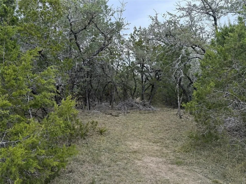 Overland Stage Road Dripping Springs, TX 78620
