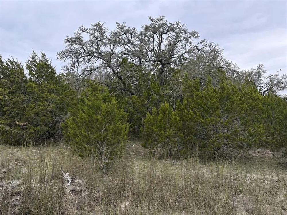 Overland Stage Road Dripping Springs, TX 78620