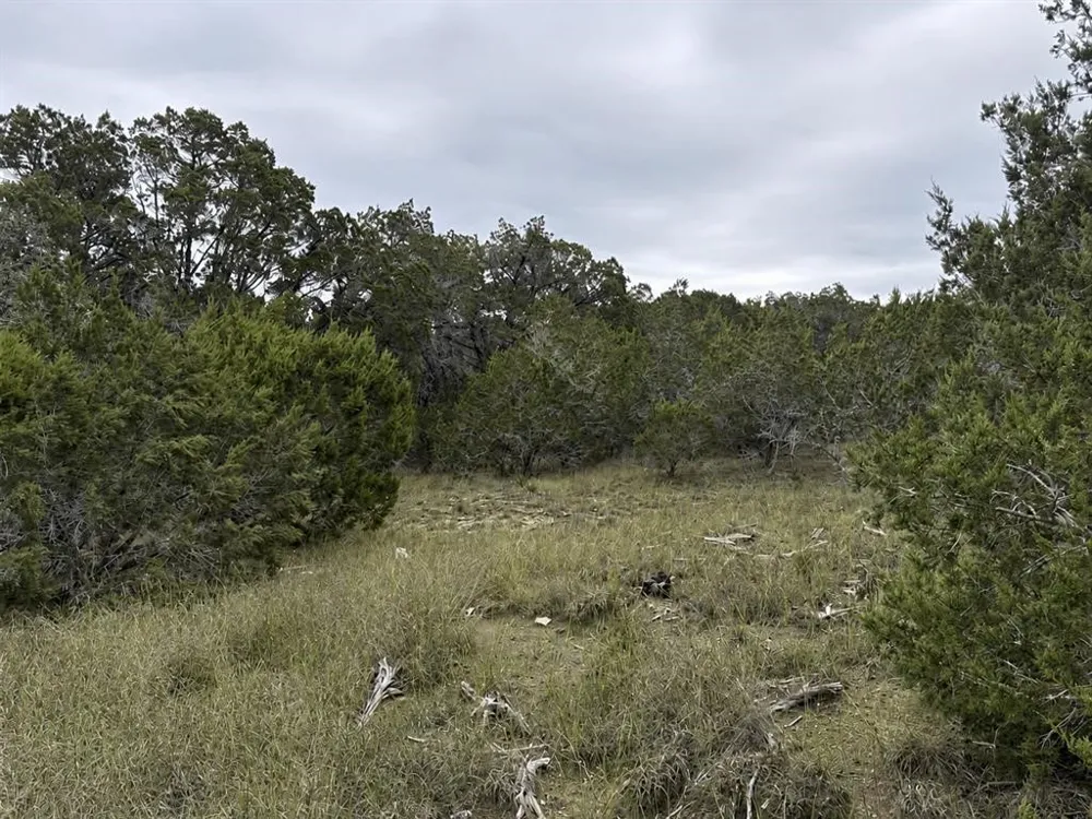 Overland Stage Road Dripping Springs, TX 78620