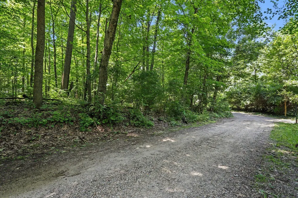 Middle Road #Lots 45 & 46 Three Rivers, MI 49093