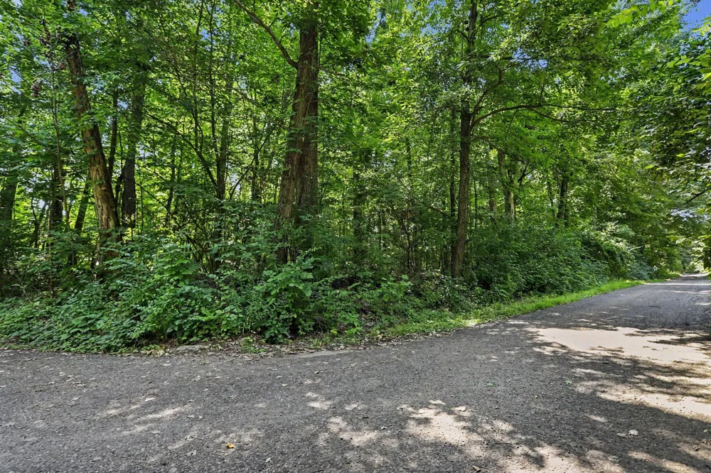 Middle Road #Lots 45 & 46 Three Rivers, MI 49093