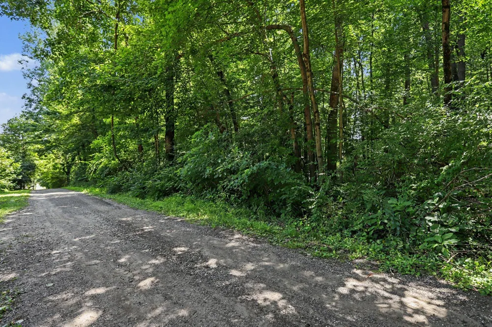 Middle Road #Lots 45 & 46 Three Rivers, MI 49093