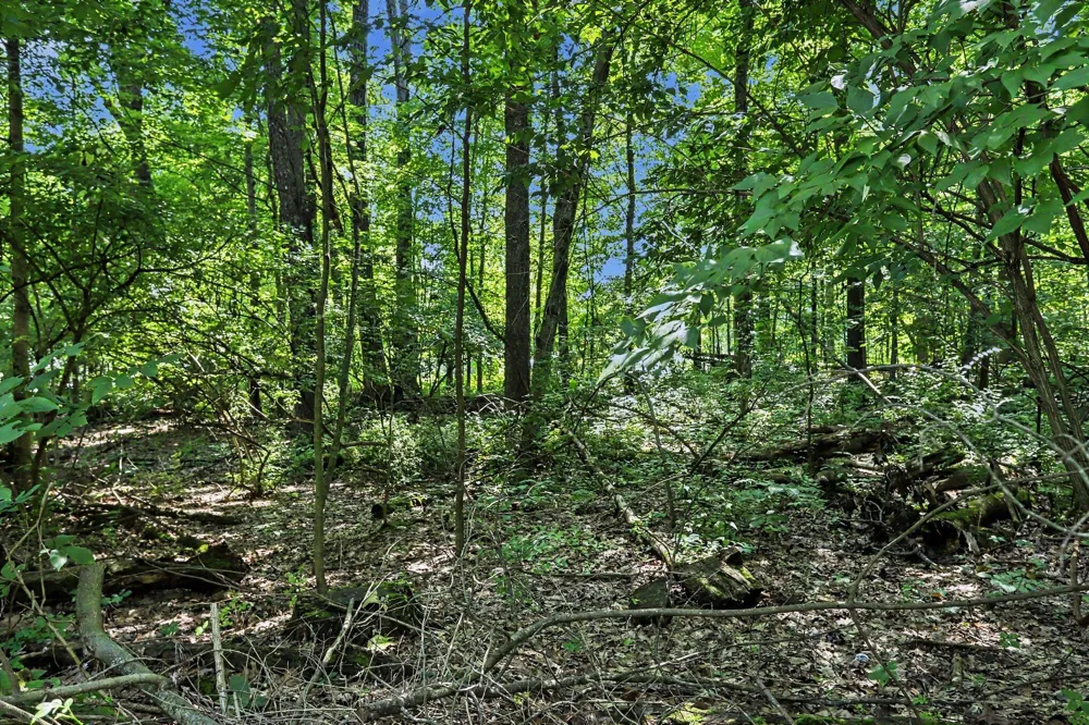 Middle Road #Lots 45 & 46 Three Rivers, MI 49093