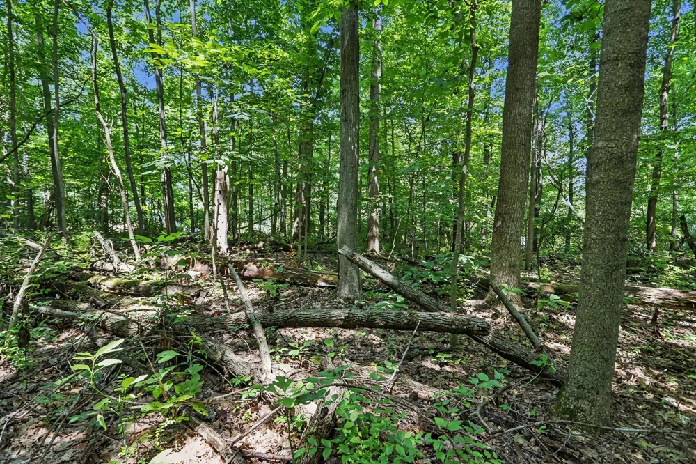 Middle Road #Lots 45 & 46 Three Rivers, MI 49093