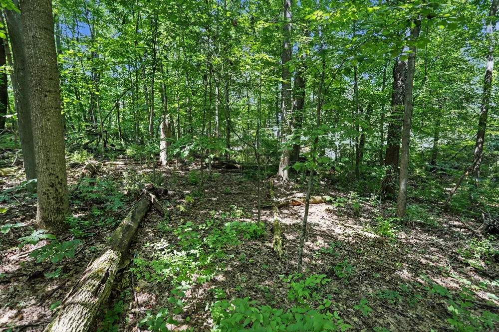 Middle Road #Lots 45 & 46 Three Rivers, MI 49093