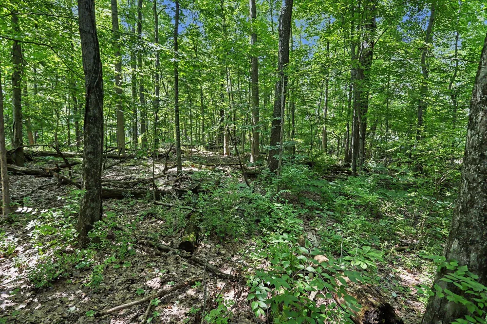 Middle Road #Lots 45 & 46 Three Rivers, MI 49093