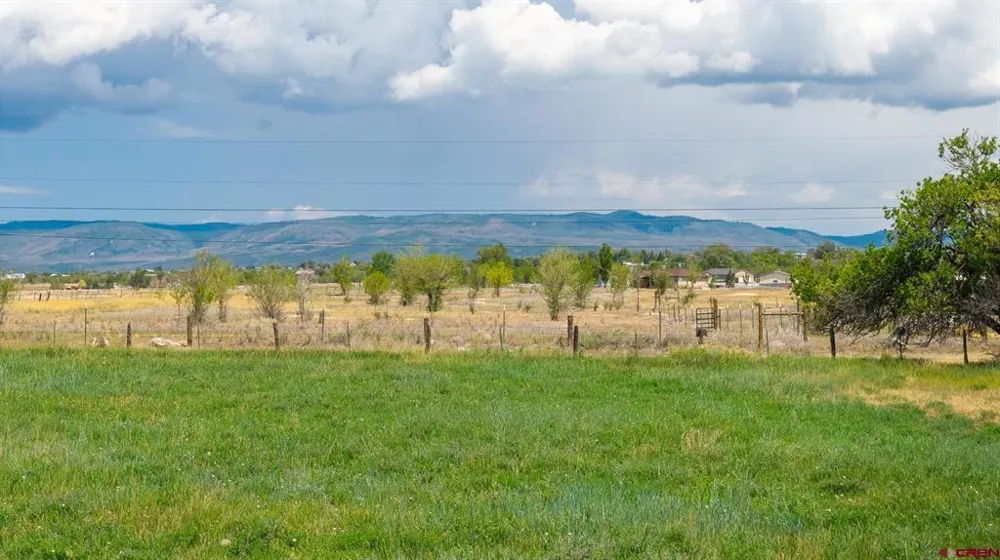 25448 Apricot Road Cedaredge, CO 81413