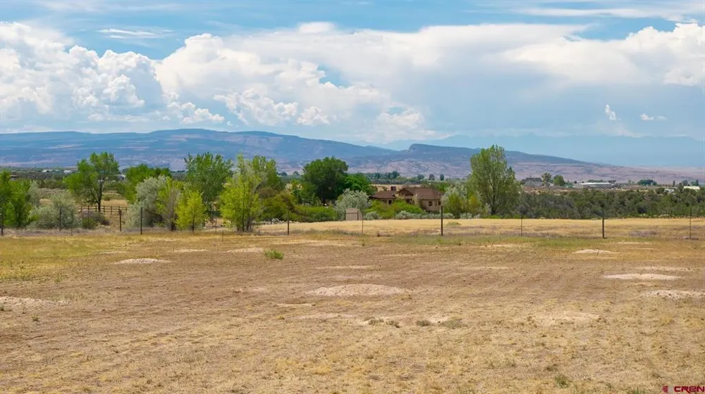 25448 Apricot Road Cedaredge, CO 81413