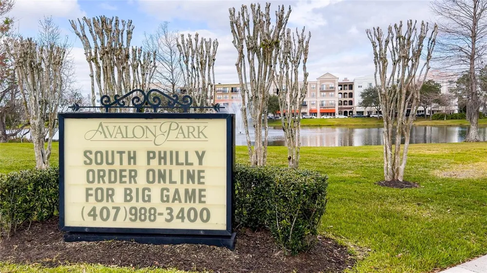 3026 WILD TAMARIND BOULEVARD #3026 Orlando, FL 32828
