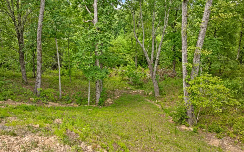1805 Sawyer Farms Lane Signal Mountain, TN 37377