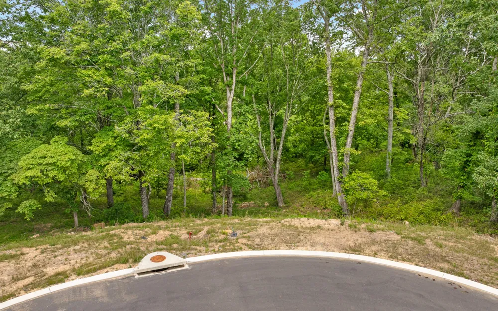 1805 Sawyer Farms Lane Signal Mountain, TN 37377