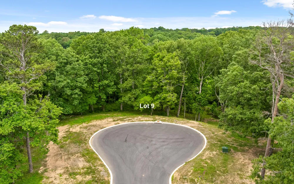 1805 Sawyer Farms Lane Signal Mountain, TN 37377