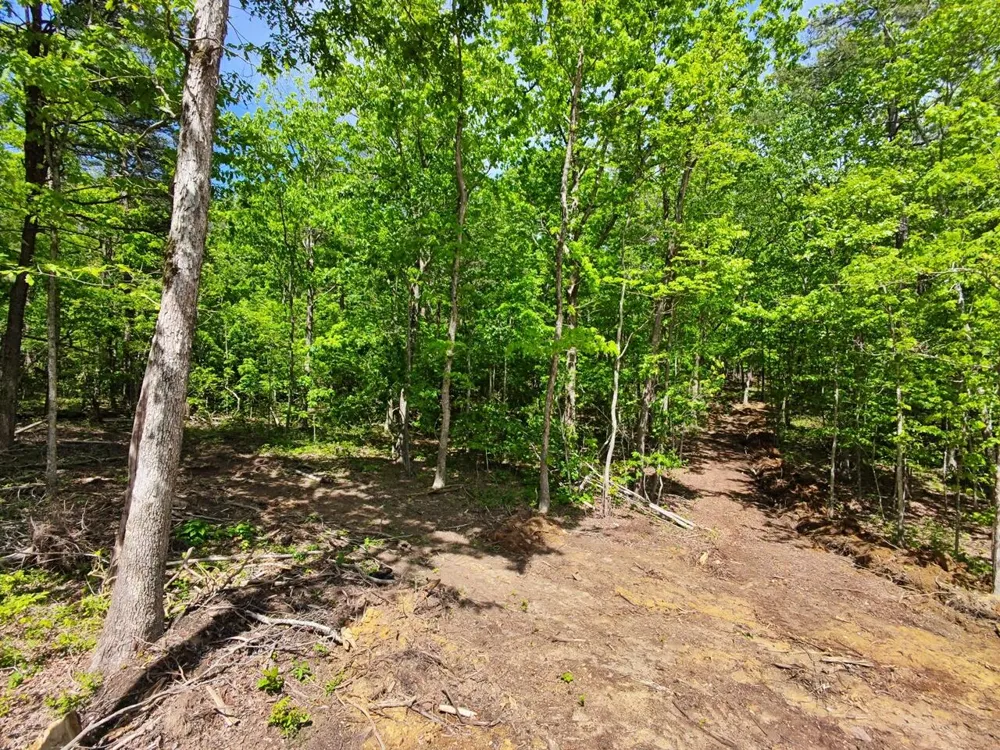 321 Lakeside Drive Graysville, TN 37338