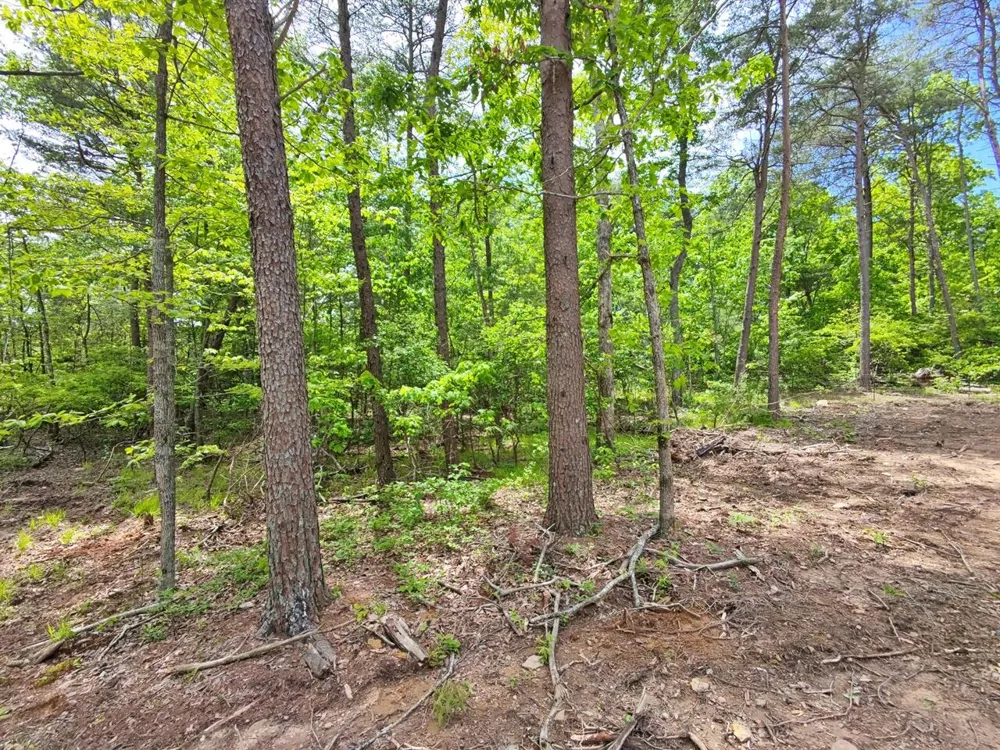 321 Lakeside Drive Graysville, TN 37338