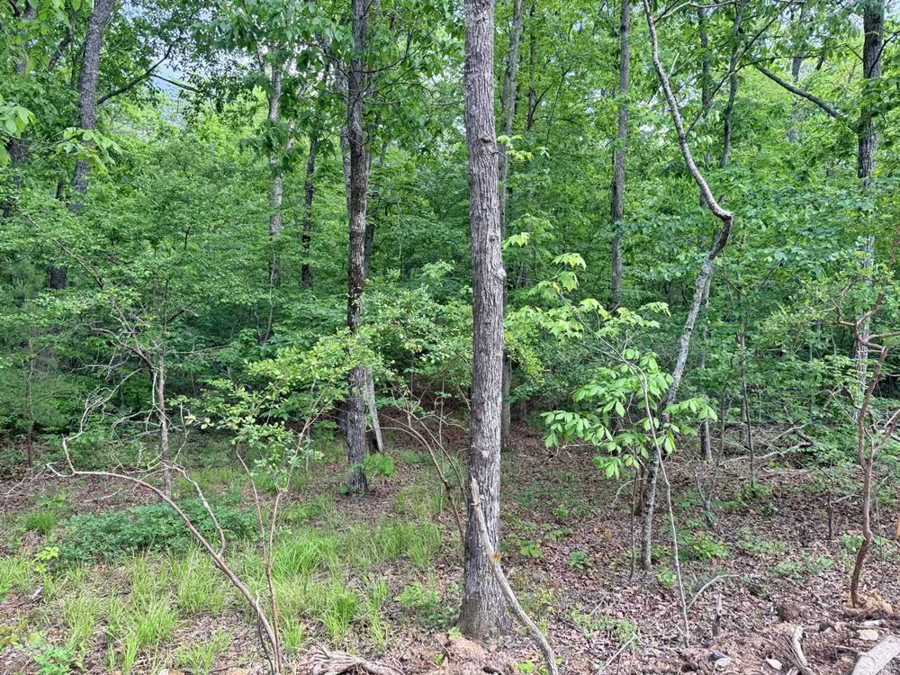 321 Lakeside Drive Graysville, TN 37338