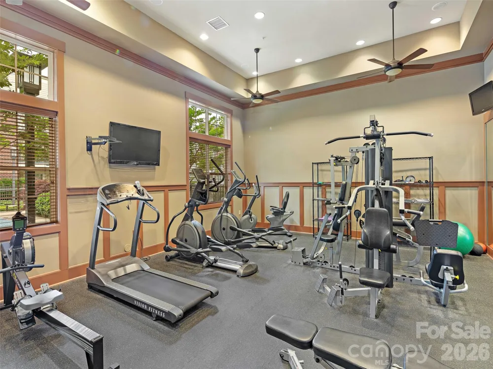 5 Farleigh Street #104 Asheville, NC 28803