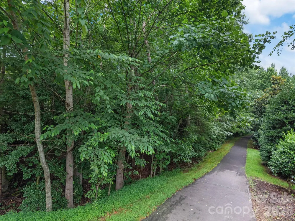 5 Farleigh Street #104 Asheville, NC 28803