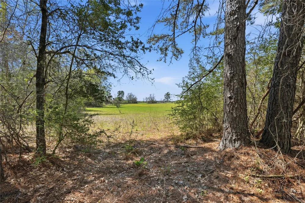 27390 Fm 1097 West Montgomery, TX 77356