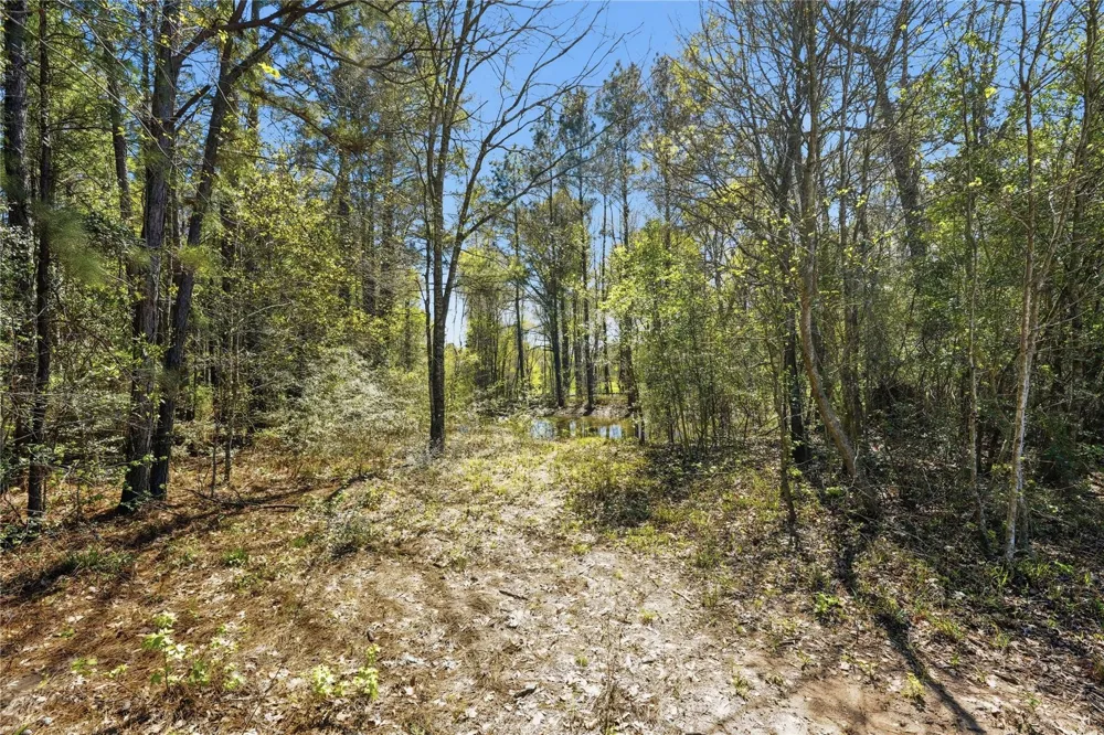 27390 Fm 1097 West Montgomery, TX 77356