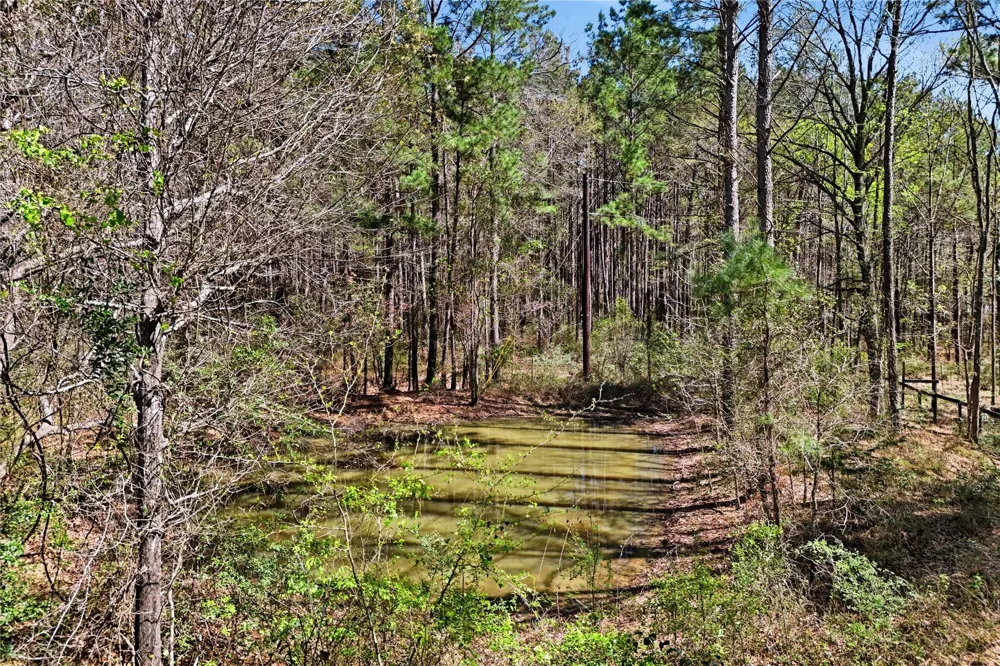 27390 Fm 1097 West Montgomery, TX 77356