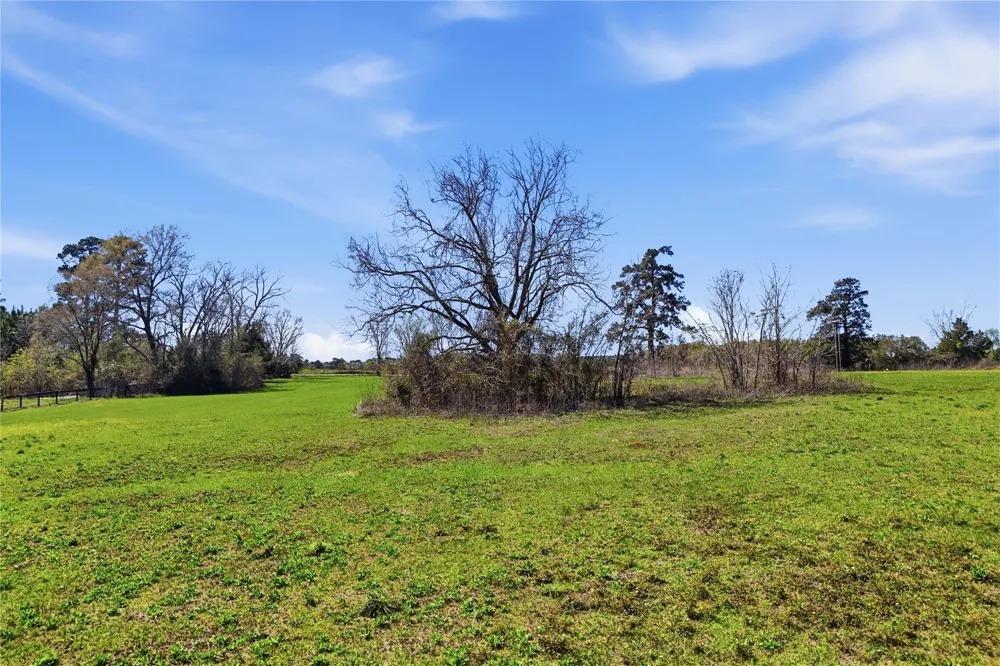 27390 Fm 1097 West Montgomery, TX 77356