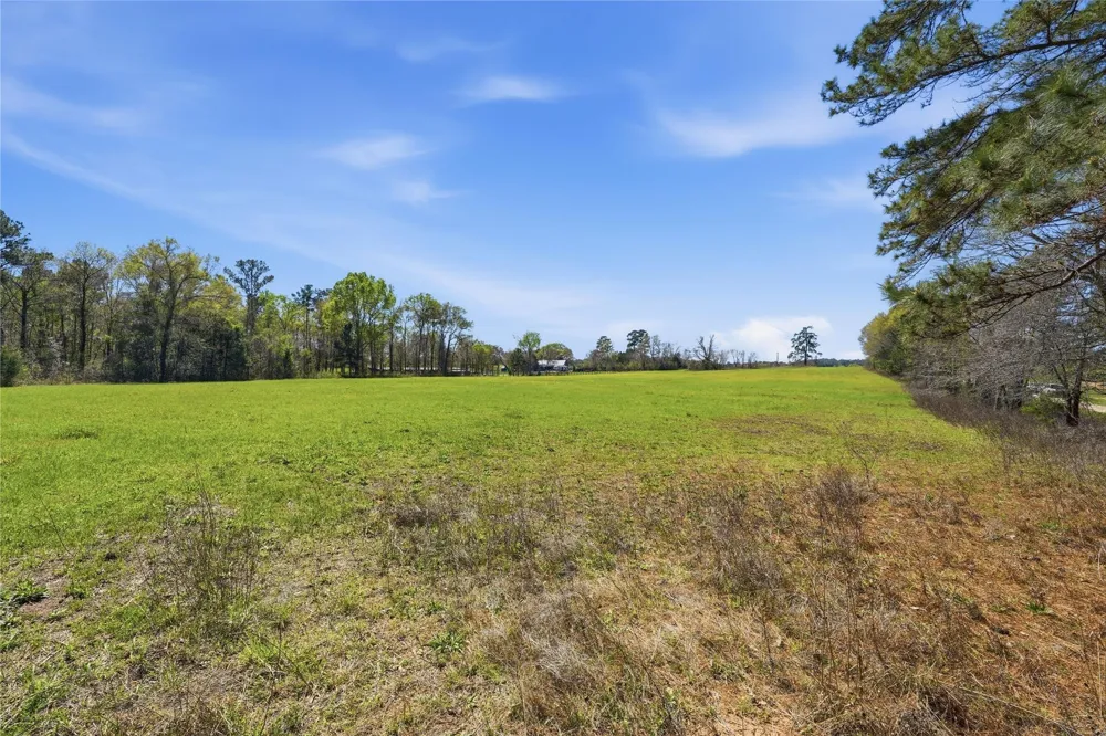 27390 Fm 1097 West Montgomery, TX 77356