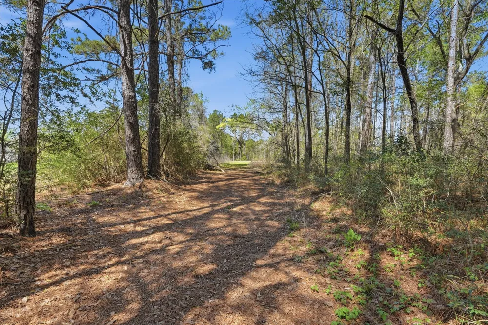 27390 Fm 1097 West Montgomery, TX 77356