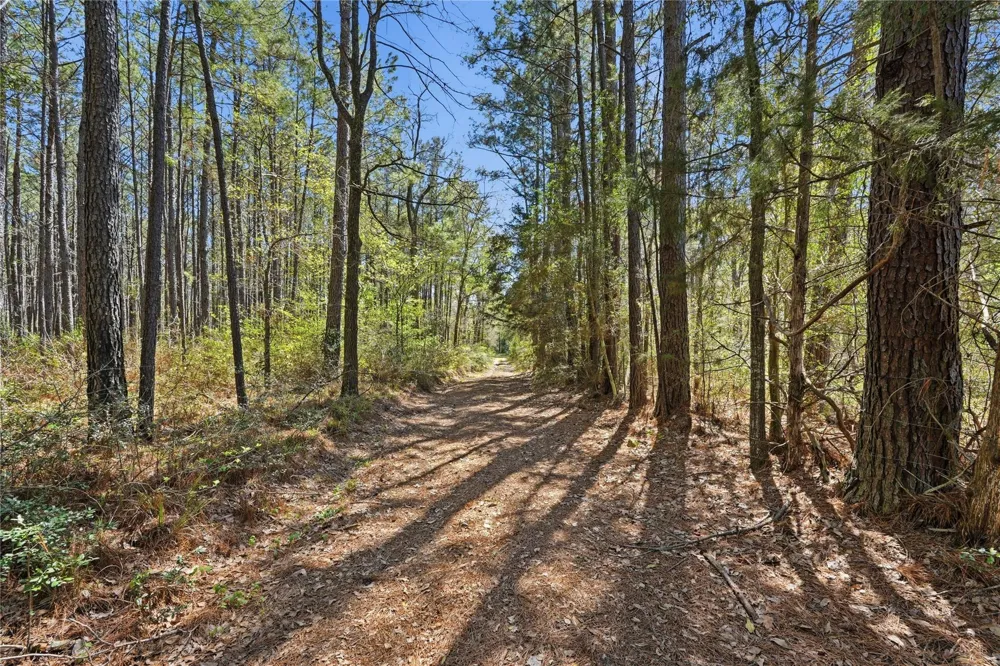 27390 Fm 1097 West Montgomery, TX 77356