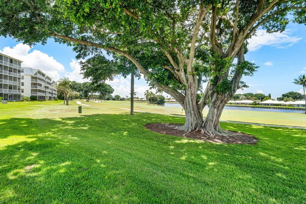 250 John F Kennedy Drive #204 Atlantis, FL 33462