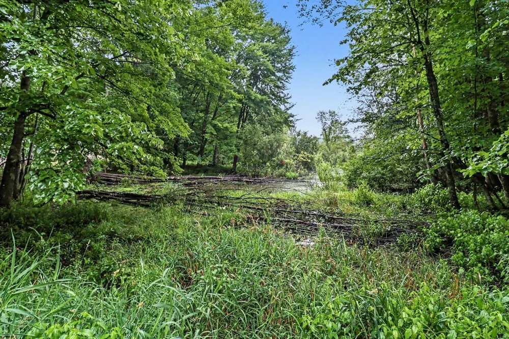 16465 Flarity Road Brethren, MI 49619