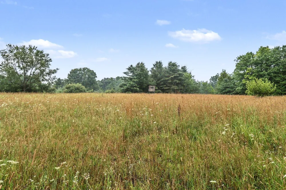 16465 Flarity Road Brethren, MI 49619