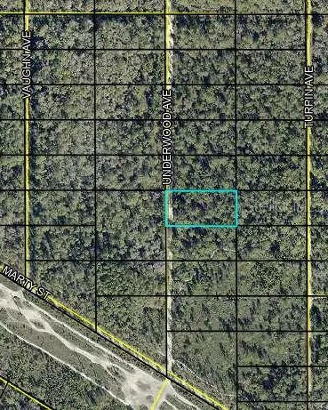 UNDERWOOD Hastings, FL 32145