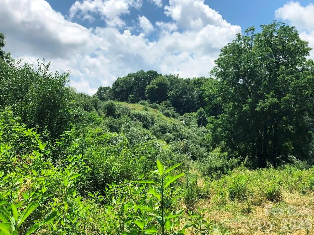 866 Georges Gap Road Vilas, NC 28692