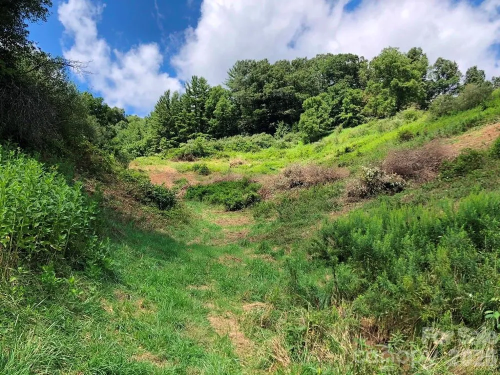 866 Georges Gap Road Vilas, NC 28692