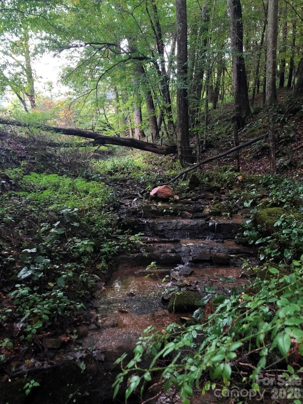 866 Georges Gap Road Vilas, NC 28692