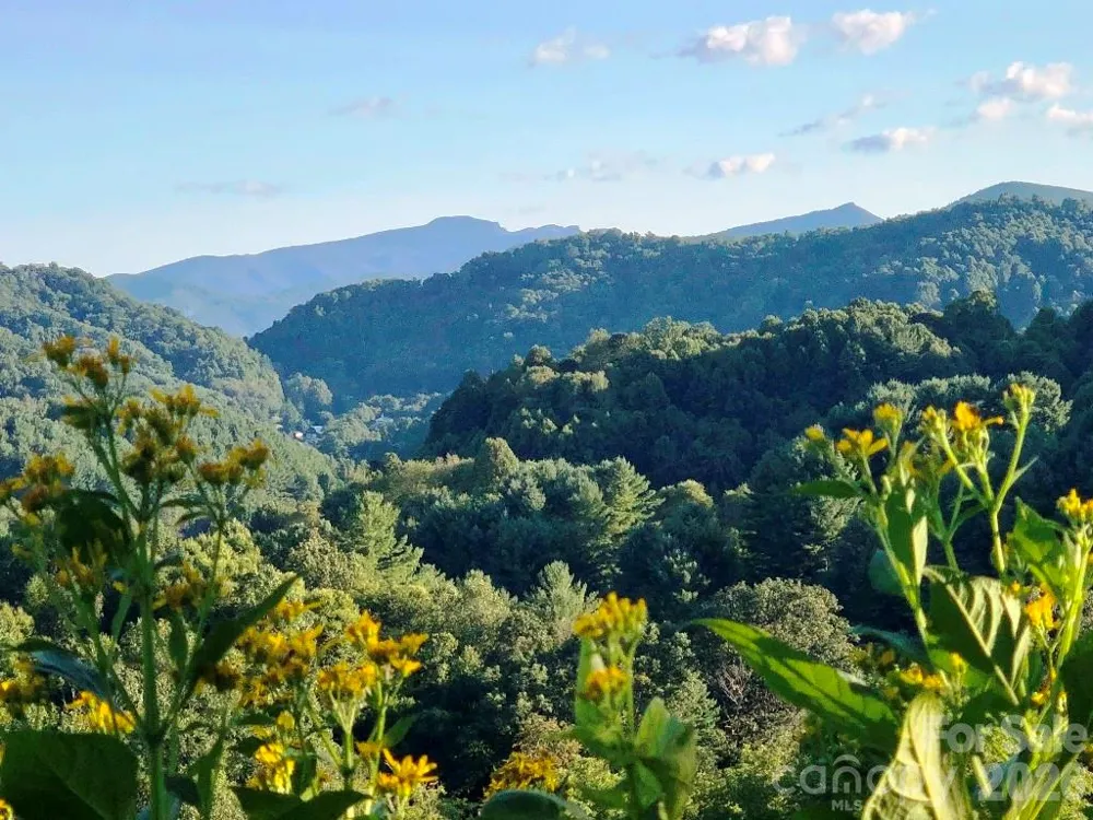 866 Georges Gap Road Vilas, NC 28692