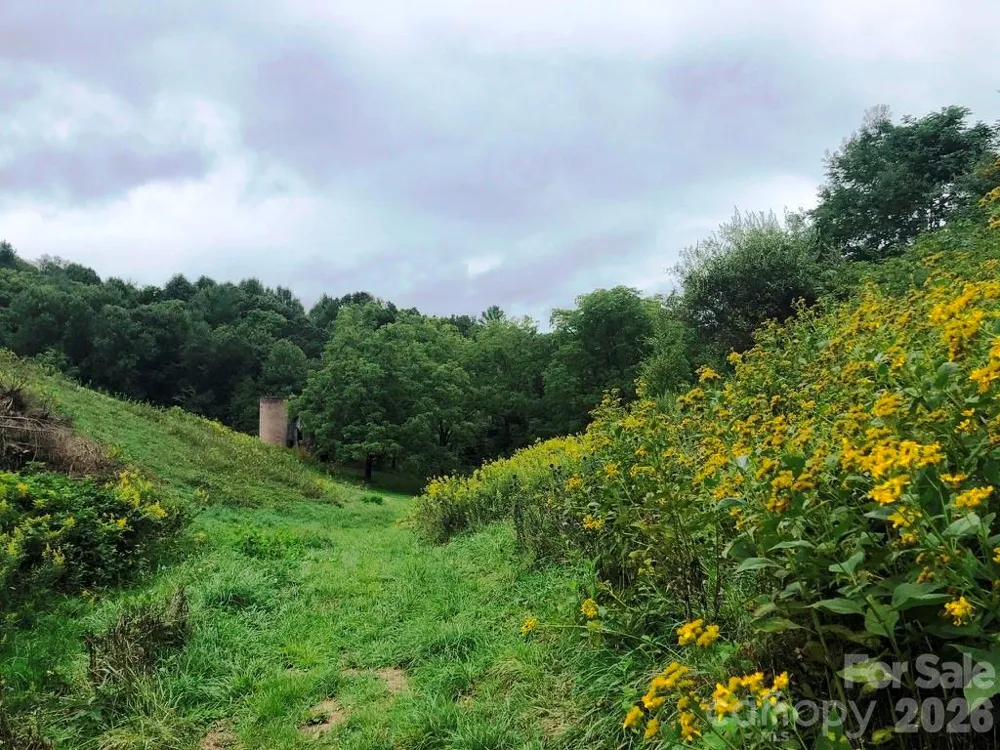 866 Georges Gap Road Vilas, NC 28692