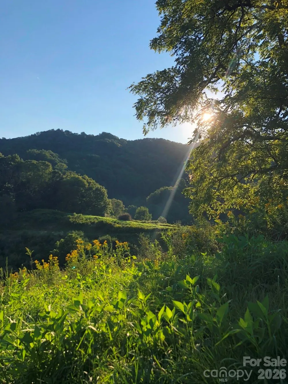 866 Georges Gap Road Vilas, NC 28692