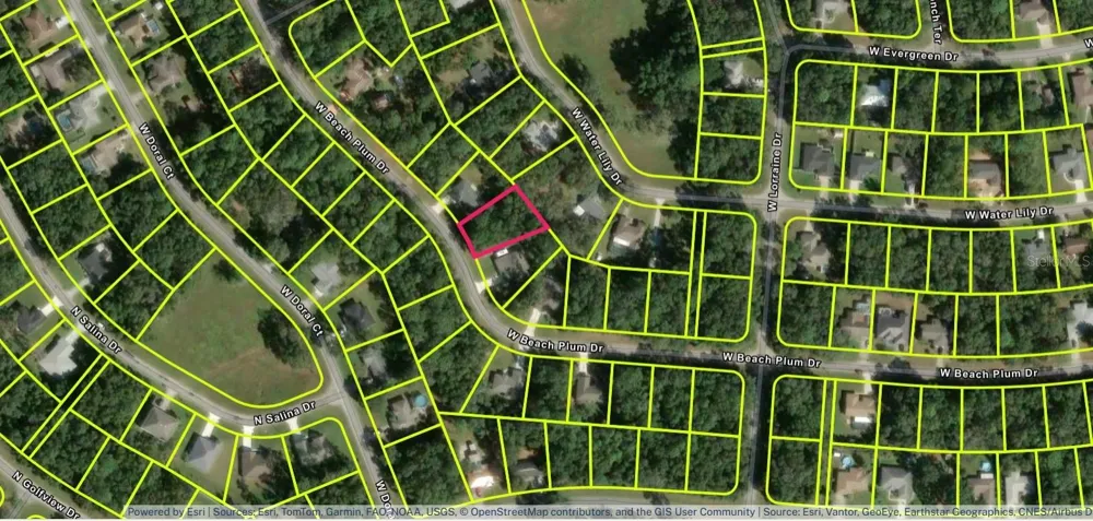 2031 W BEACH PLUM DRIVE Citrus Springs, FL 34434