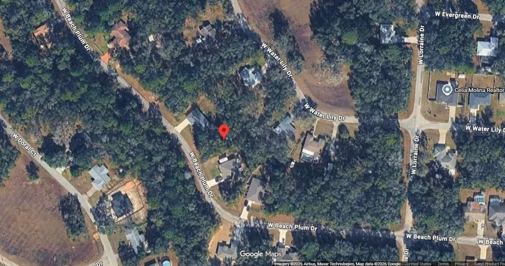2031 W BEACH PLUM DRIVE Citrus Springs, FL 34434