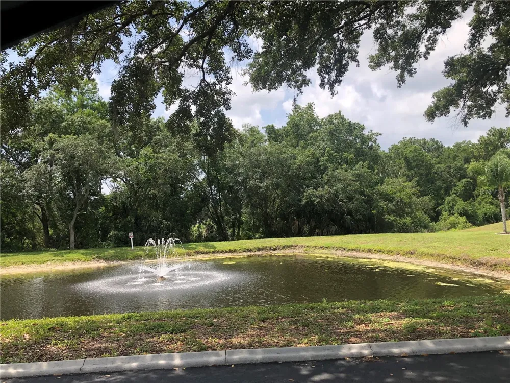 4008 EL MERITA COURT New Port Richey, FL 34655