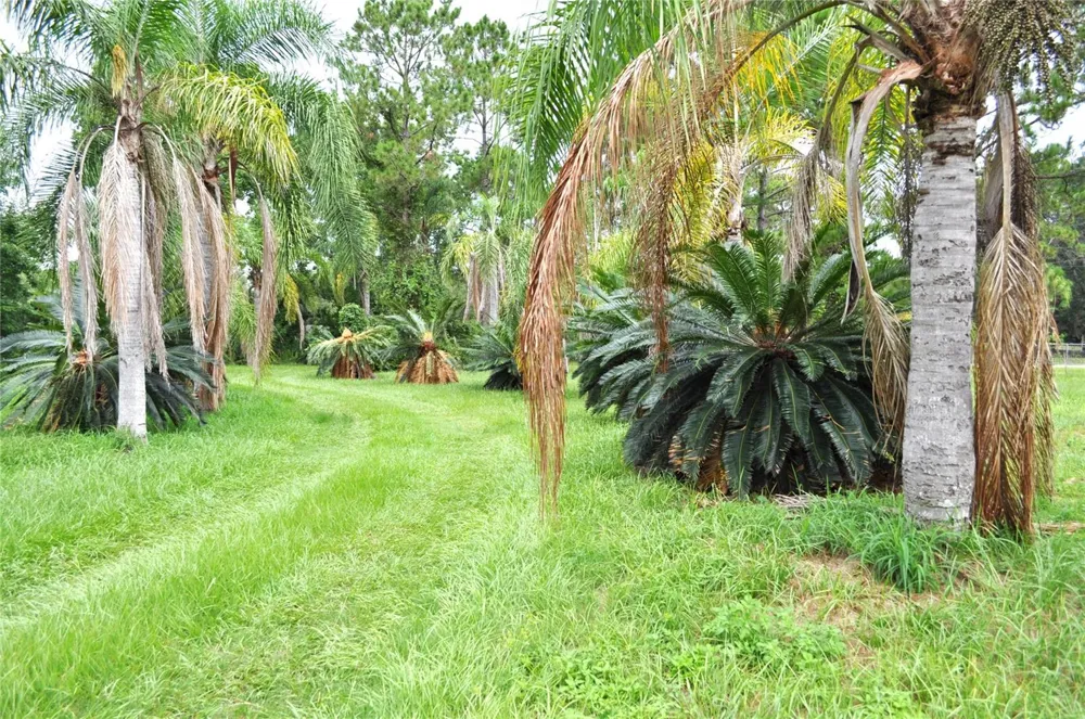 5170 STAR LINE DRIVE St Cloud, FL 34771