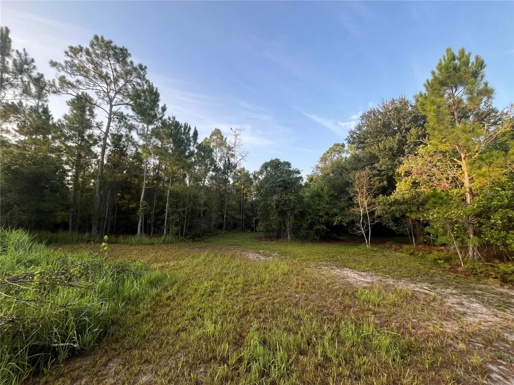 32801 441 HIGHWAY #287 Okeechobee, FL 34972