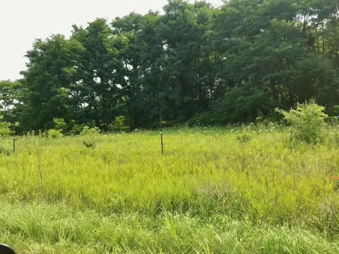 Buckhorn Road #Lot J