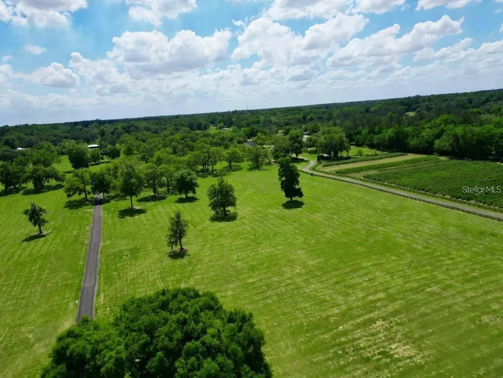 TBD SE 115TH STREET Belleview, FL 34420