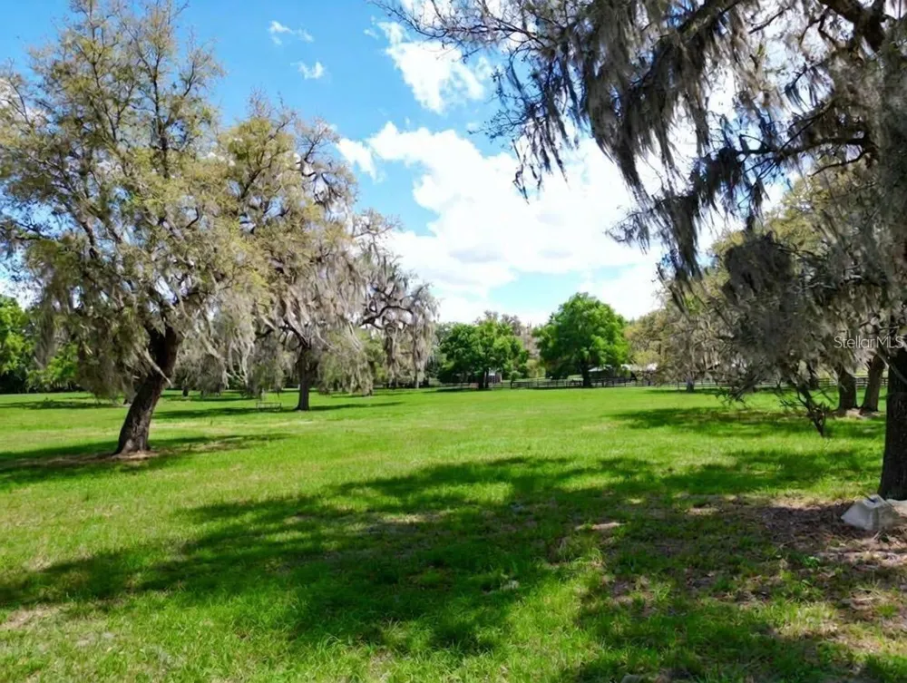 TBD SE 115TH STREET Belleview, FL 34420