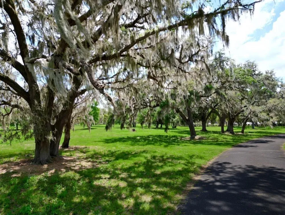 TBD SE 115TH STREET Belleview, FL 34420