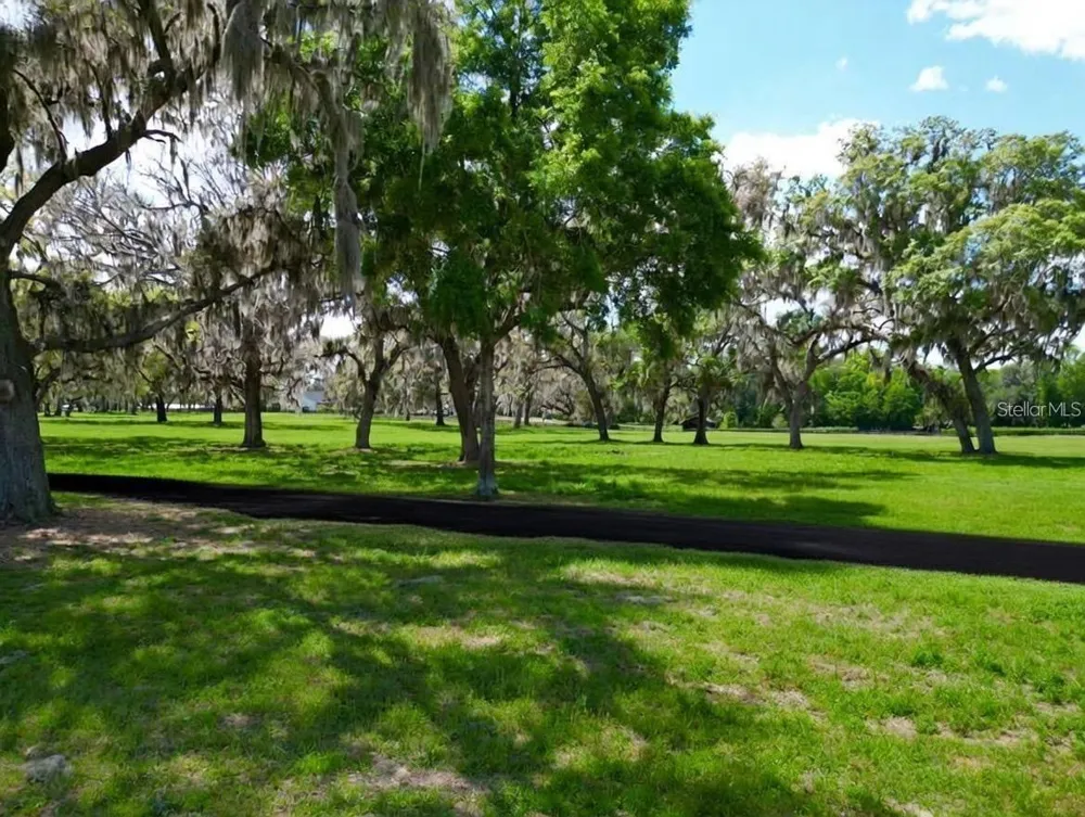 TBD SE 115TH STREET Belleview, FL 34420