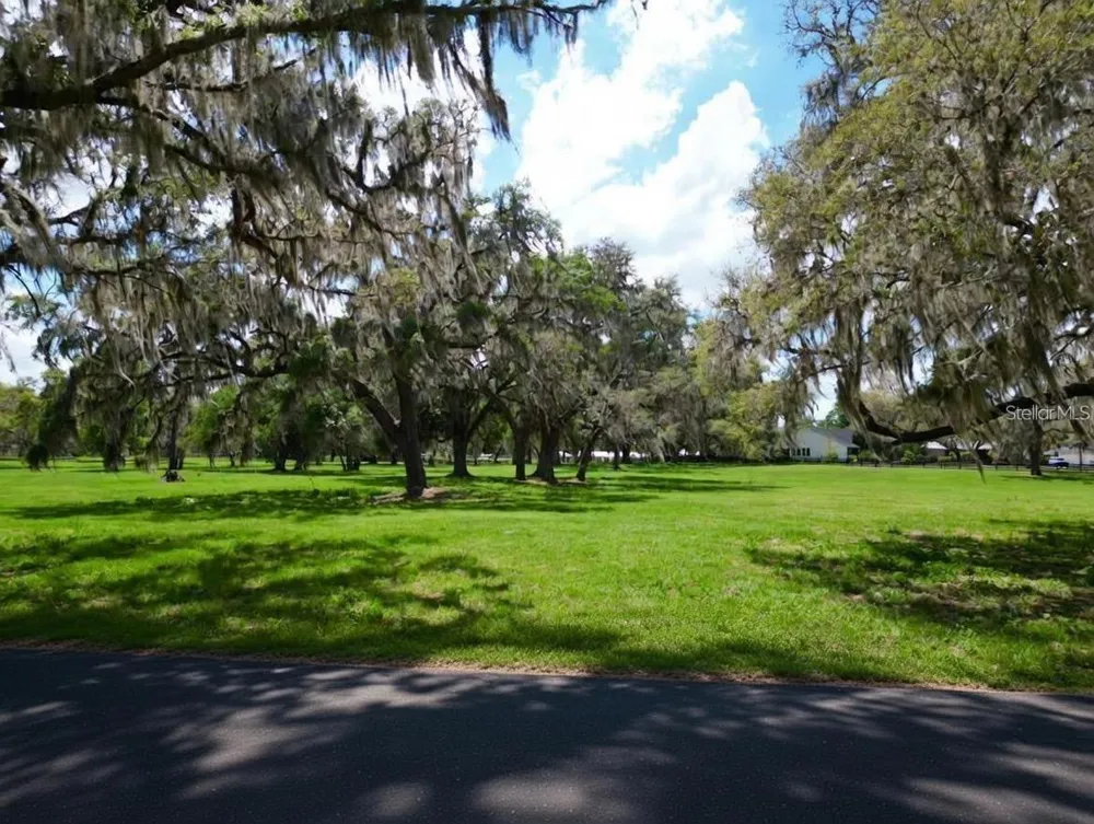 TBD SE 115TH STREET Belleview, FL 34420