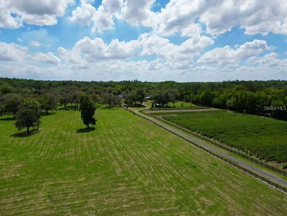 TBD SE 115TH STREET Belleview, FL 34420